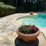 Tosca Con Piscina Privata E Vista Mare *