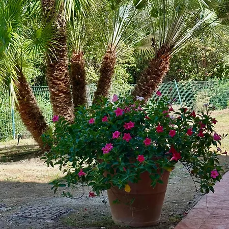 Tosca Con Piscina Privata E Vista Mare